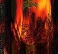 Nokturne - Live 2003-2004 & L.A. City of Chaos [DVD]