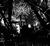 Ad Hominem - Climax of Hatred [CD]
