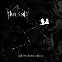 CD - Adalruna - A Wolf in Hallowed Places [CD]