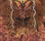Adorior - Author of Incest [CD]