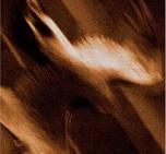Agalloch - Ashes Against the Grain [CD]