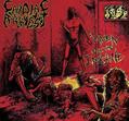 Cardiac Arrest - Haven for the Insane [CD+DVD]
