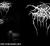 Darkthrone - A blaze of the northern sky [LS]
